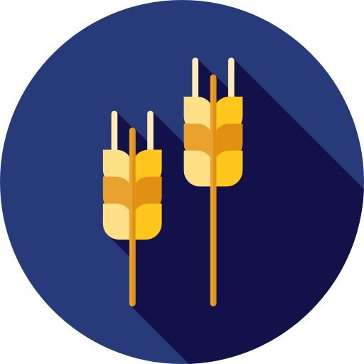 Fiber Network